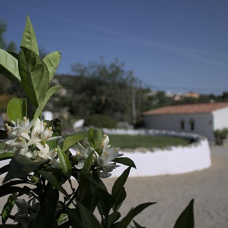 Suite Swimming Pool Quinta Da Eira 140 Years Old Λουλέ Εξωτερικό φωτογραφία